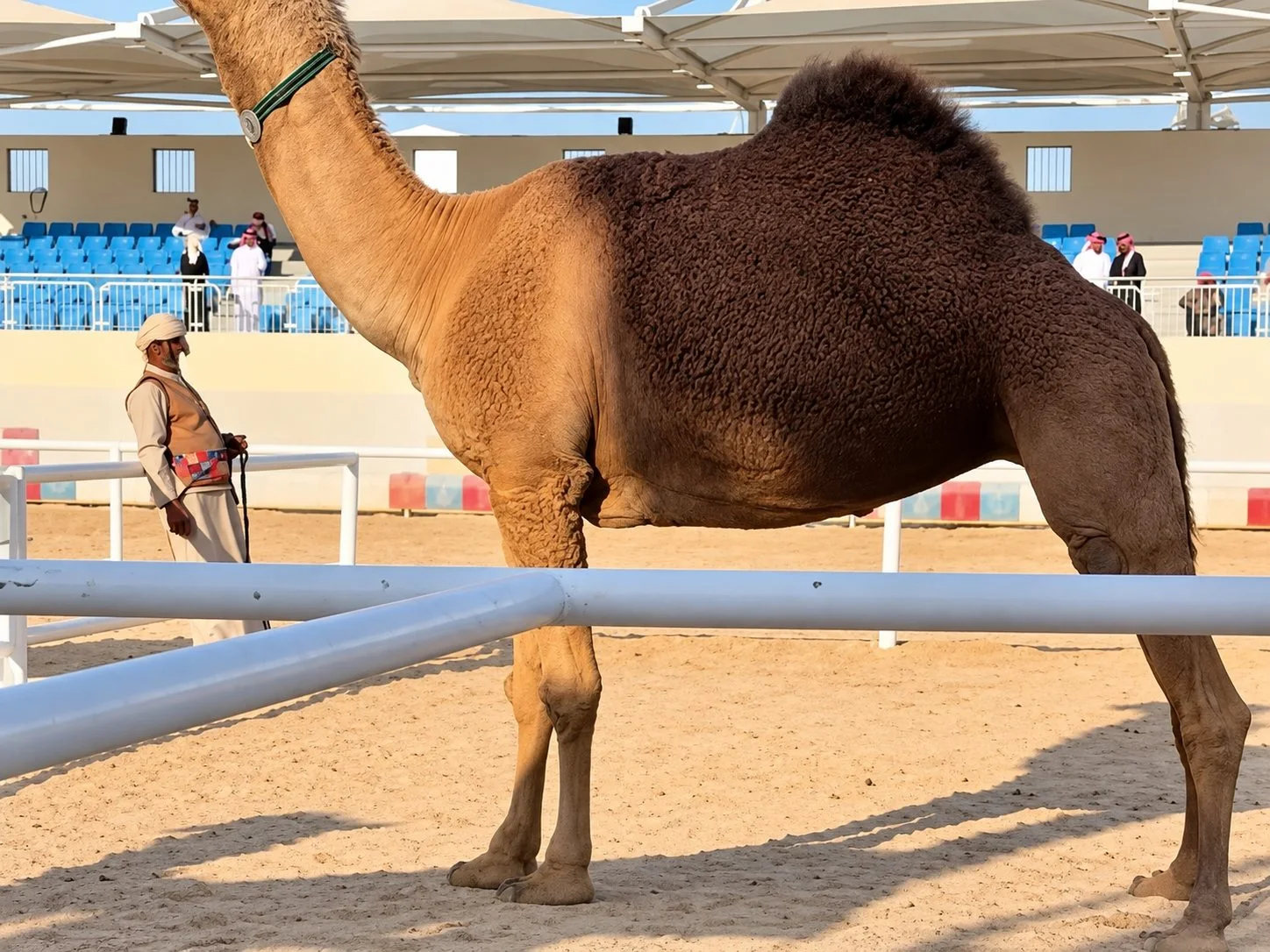 «سمو» في ميدان العرض