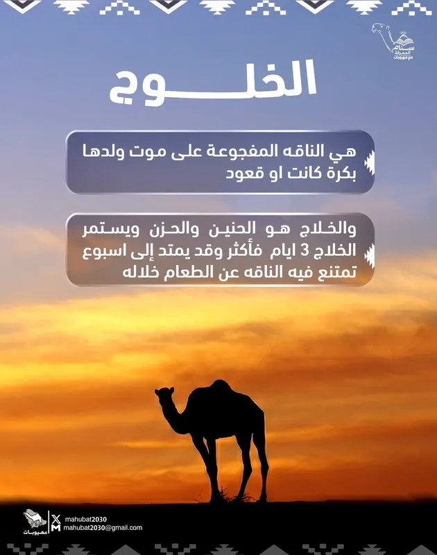 الخلوج